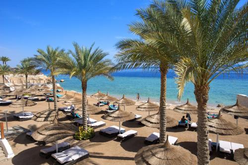 luxury hotels in Sharm El Sheikh