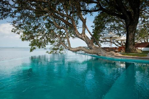 luxury hotels in Pasikuda