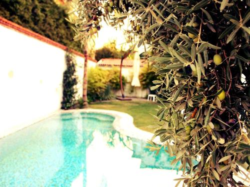 luxury hotels in Alacati