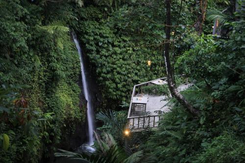 luxury hotels in Ubud