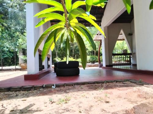 luxury hotels in Tissamaharama