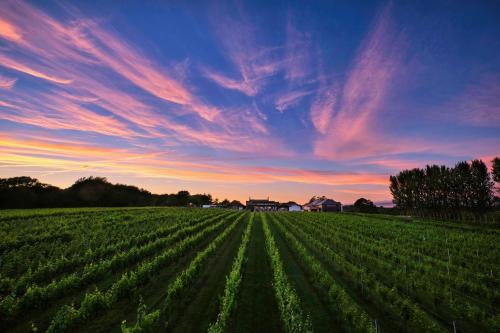 luxury hotels in South Wales