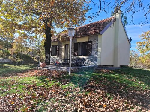 luxury hotels in Podgorica