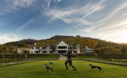 luxury hotels in Cape Winelands