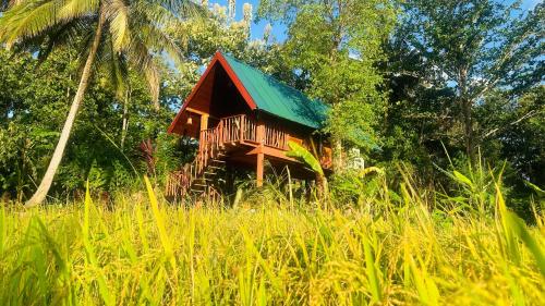 luxury hotels in Matale District