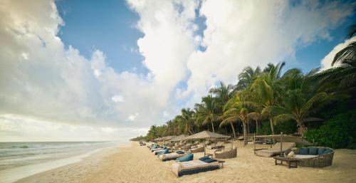 luxury hotels in Riviera Maya