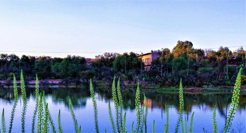 luxury hotels in Bernal