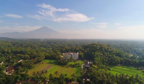 luxury hotels in Yogyakarta Province
