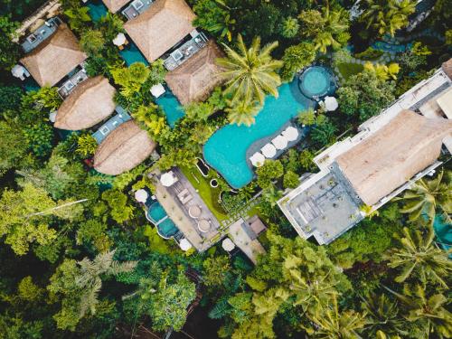 luxury hotels in Ubud
