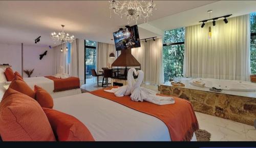 luxury hotels in Minas Gerais