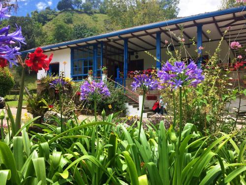 luxury hotels in Pereira