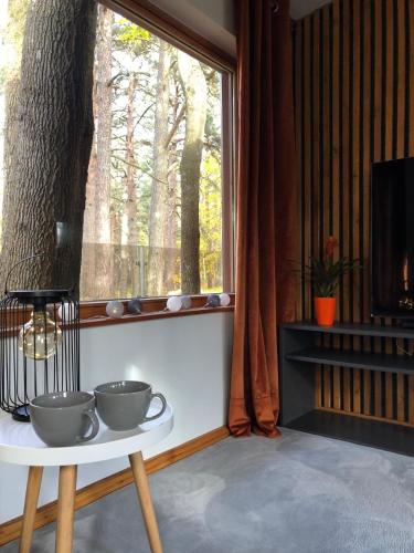 luxury hotels in Vidzeme