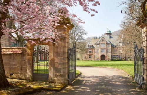 luxury hotels in Hessen