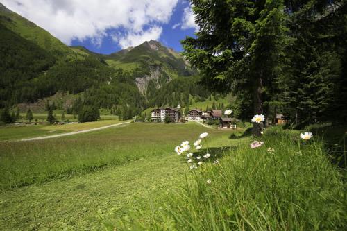 luxury hotels in East Tyrol