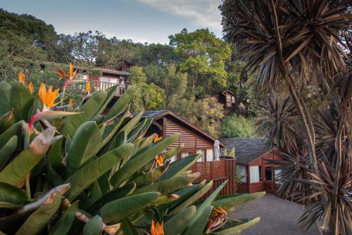 luxury hotels in Knysna