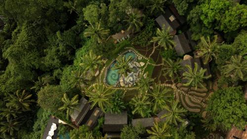 luxury hotels in Ubud