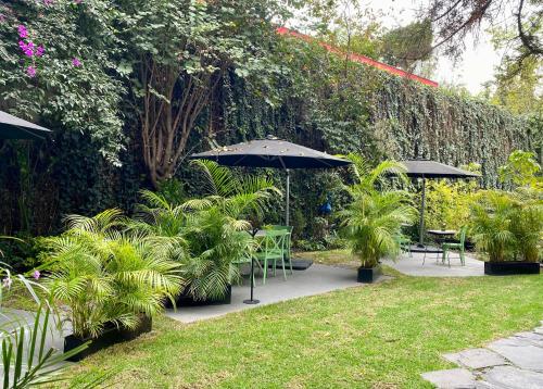 luxury hotels in State Of Mexico (Edomex)