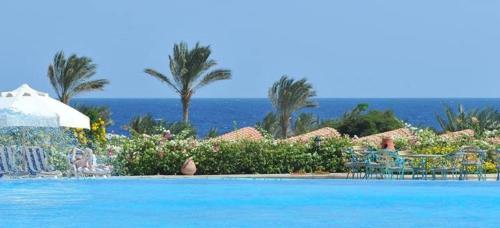 luxury hotels in Marsa Alam