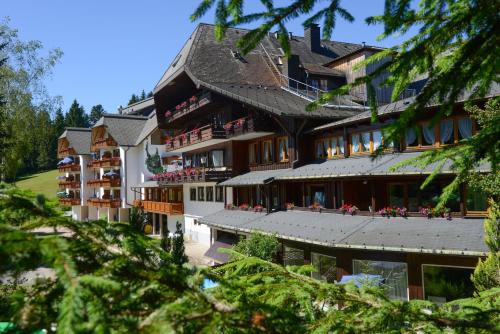 luxury hotels in Feldberg