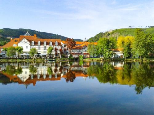 luxury hotels in Harz