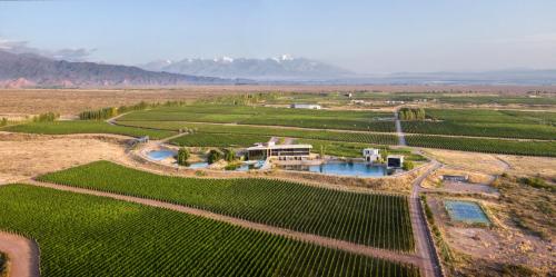 luxury hotels in Mendoza