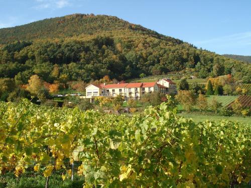 luxury hotels in Landkreis Karlsruhe