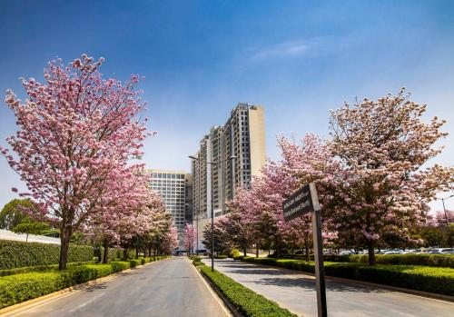 luxury hotels in Karnataka