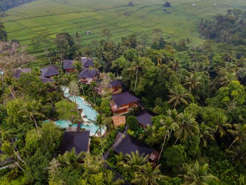 luxury hotels in Ubud