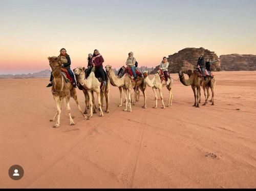 luxury hotels in Wadi Rum